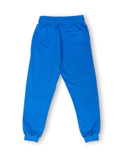 TWGE - Kids Joggers for Boys - Track Pants - Solid Cotton Regular Fit Tracks - color Blue